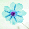 flower-blue